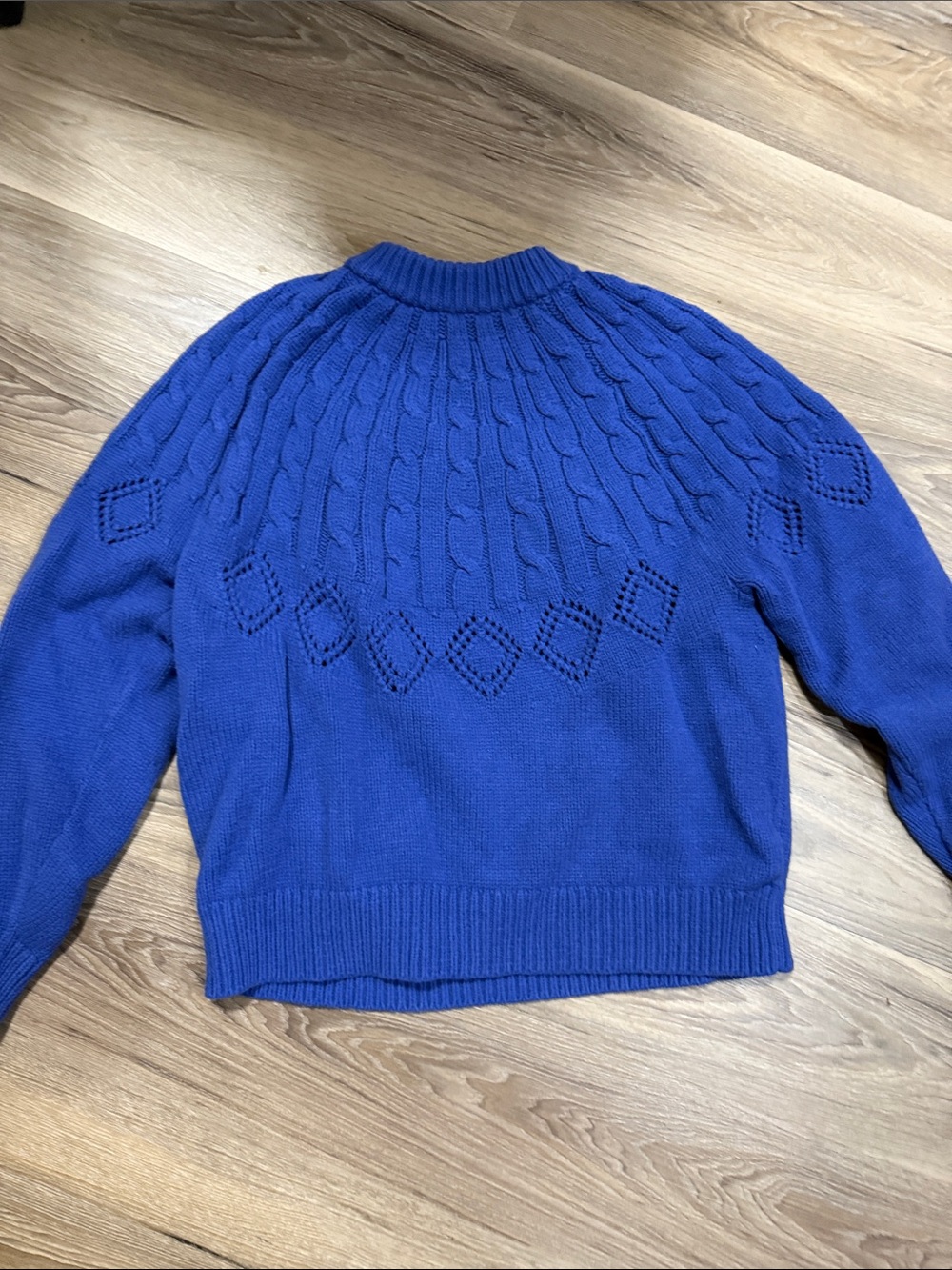 Ann Taylor Blue Cable Yoke Crewneck Sweater